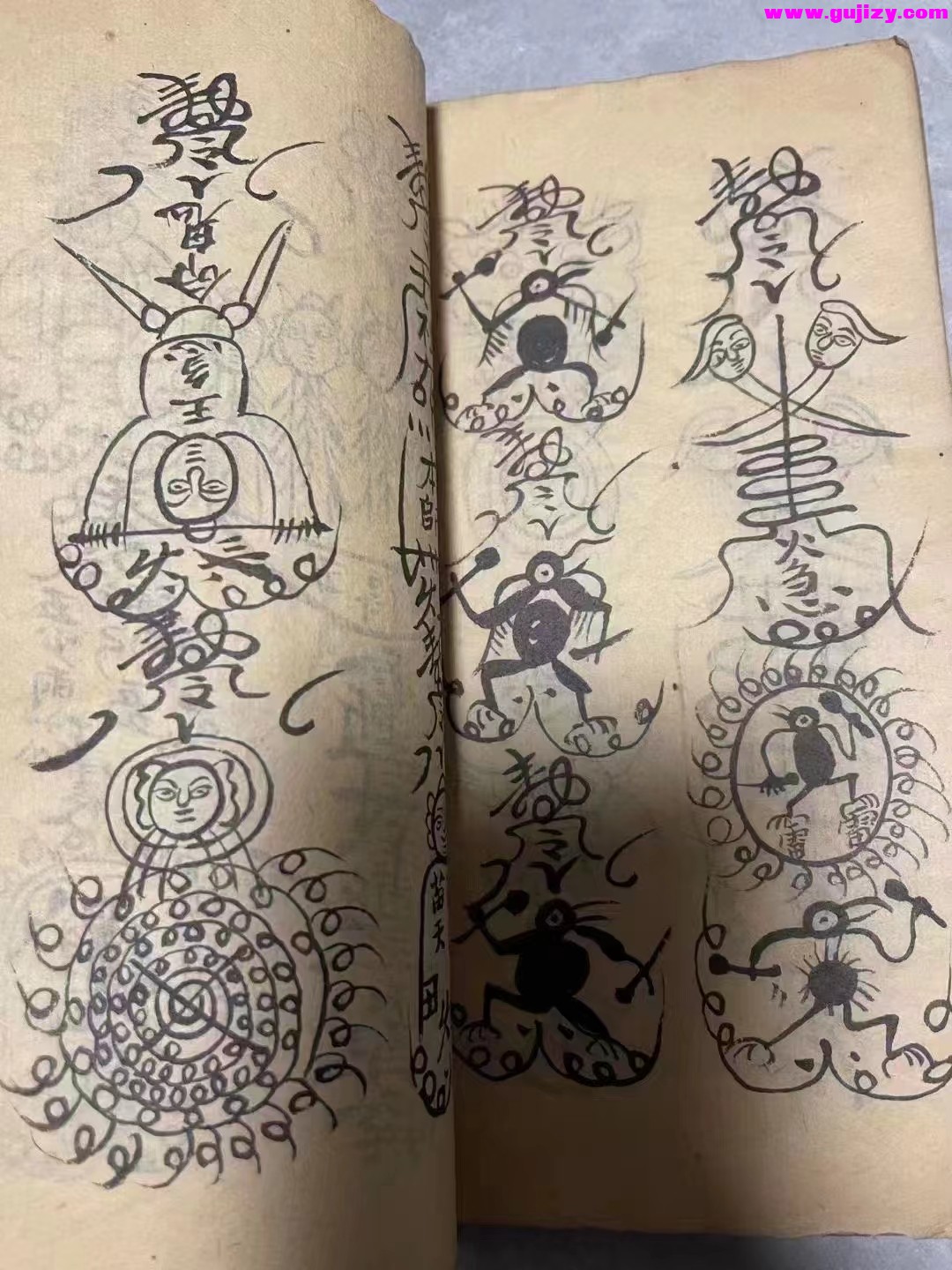 1725295119137.jpg
