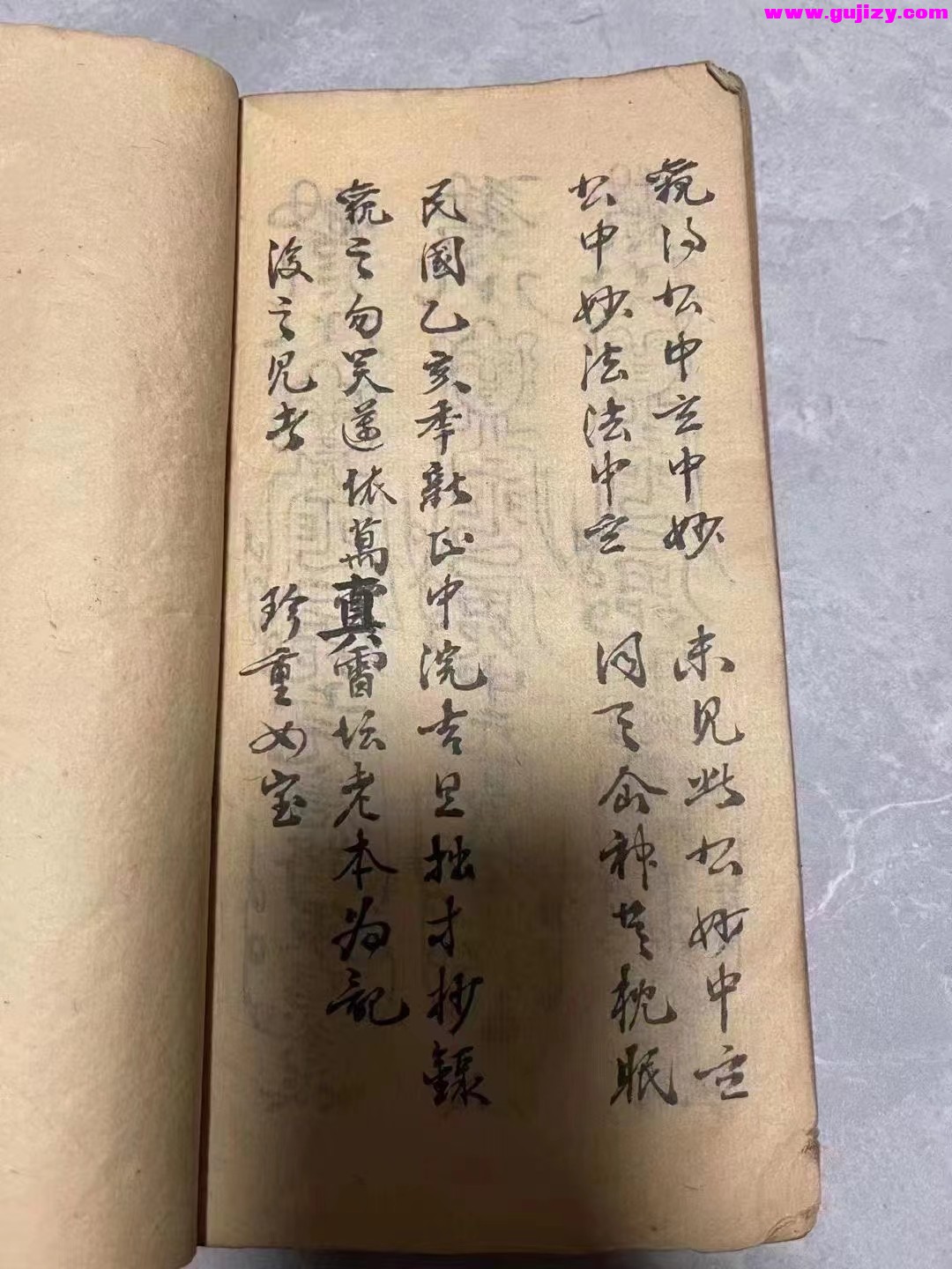 1725295122206.jpg
