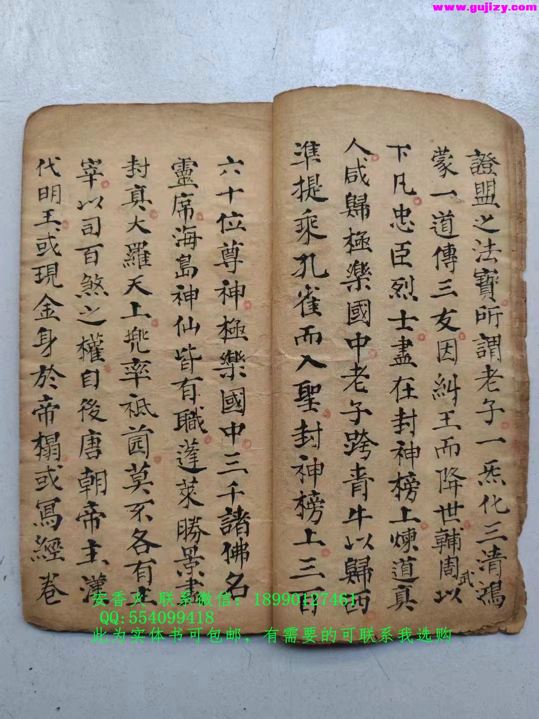 1722163215013.jpg