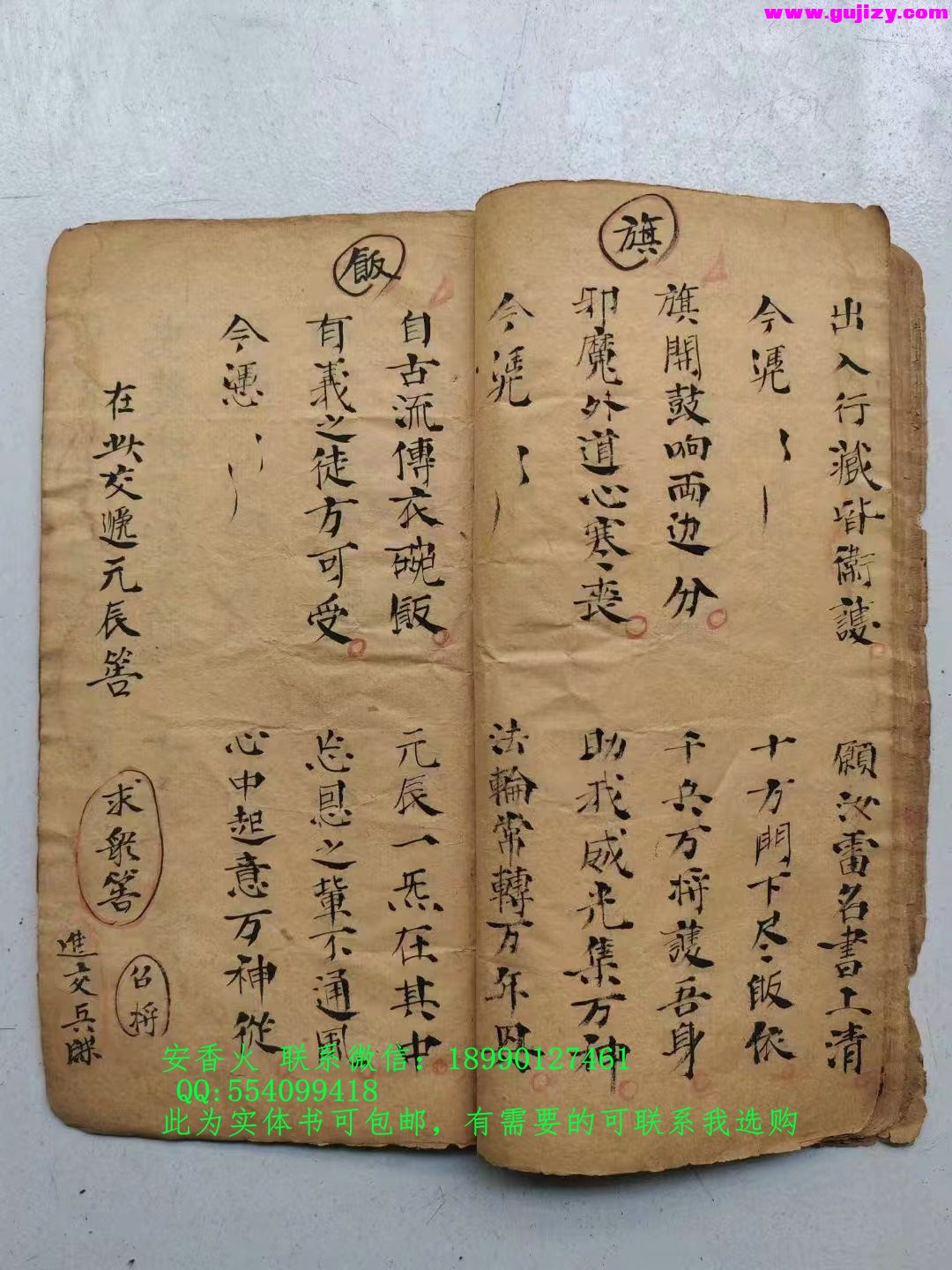 1722163225109.jpg