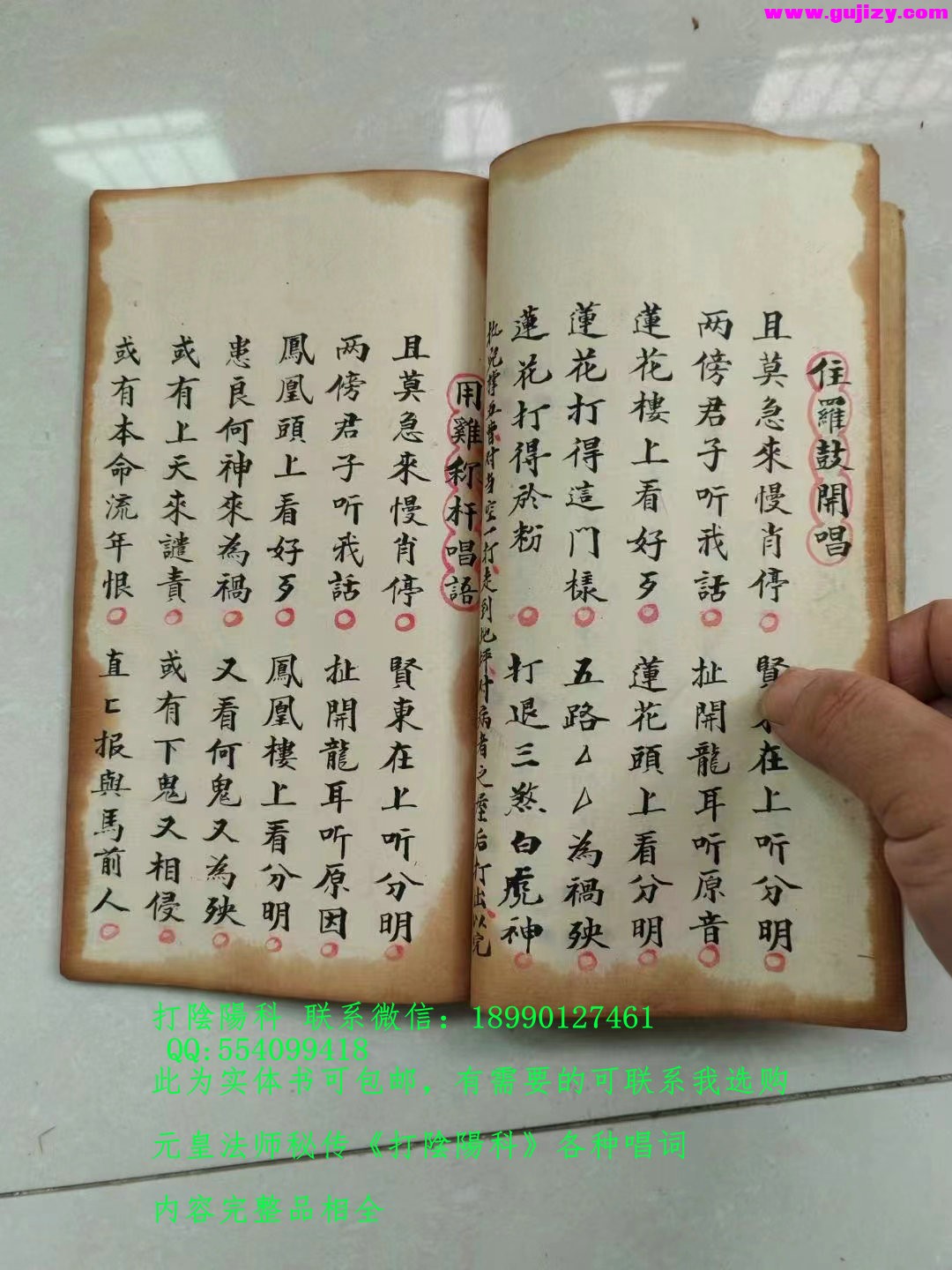 1722153531253.jpg