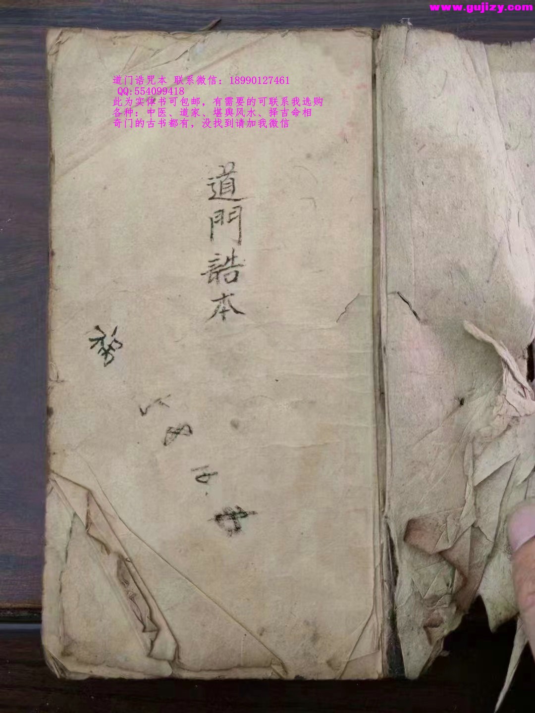 1725340657378.jpg