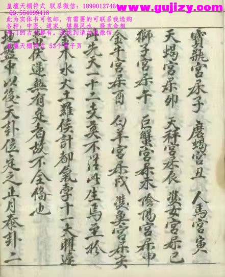 1725294913304.jpg
