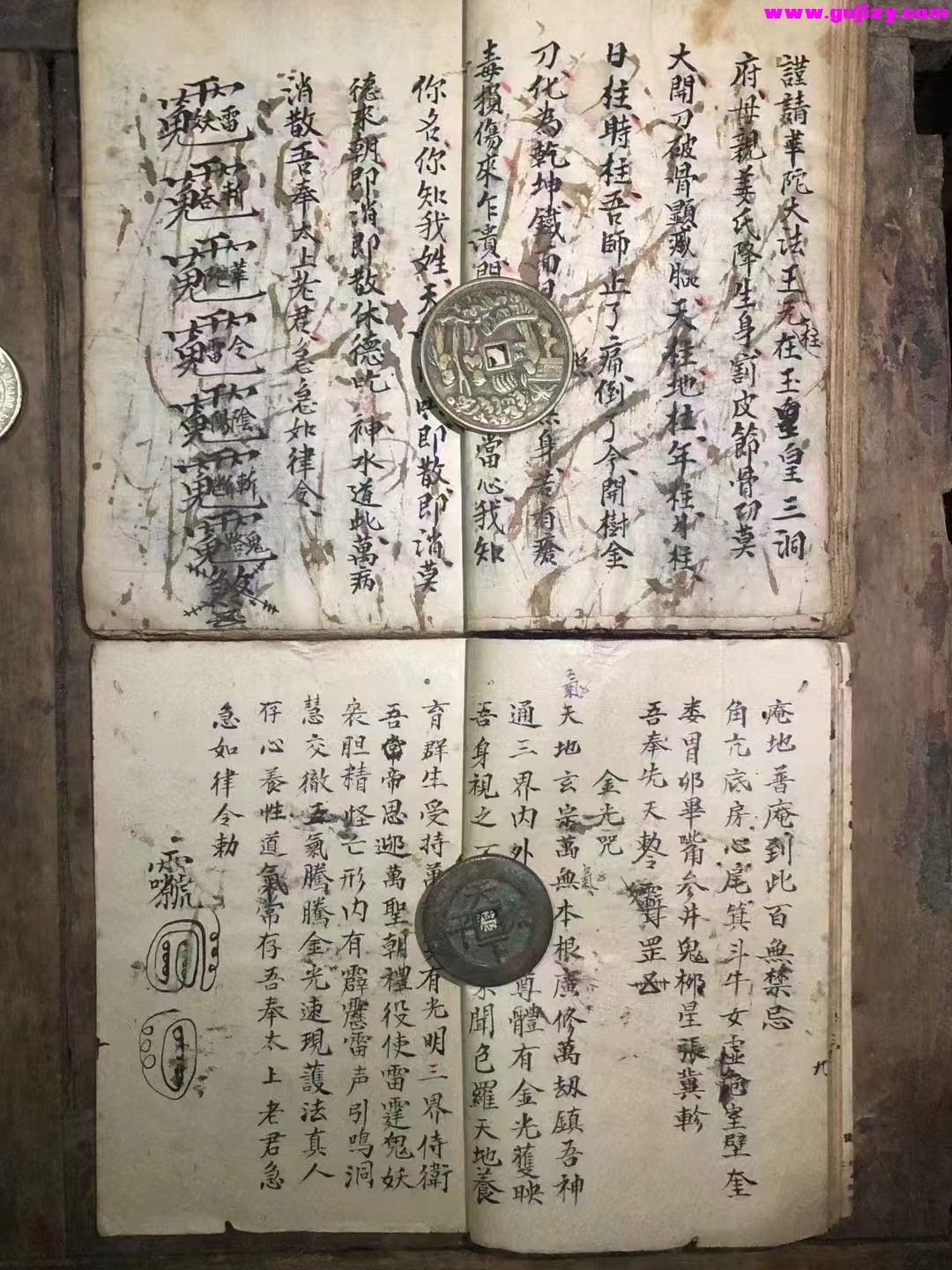 1737380419893.jpg