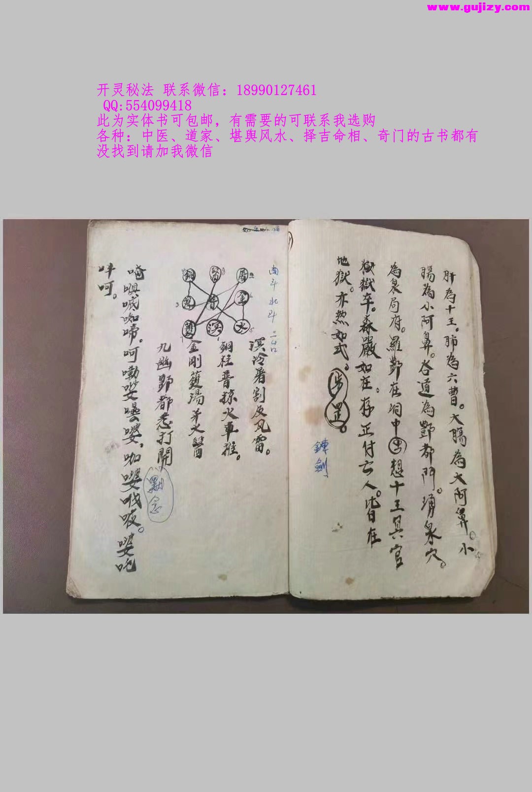 1722166148015.jpg