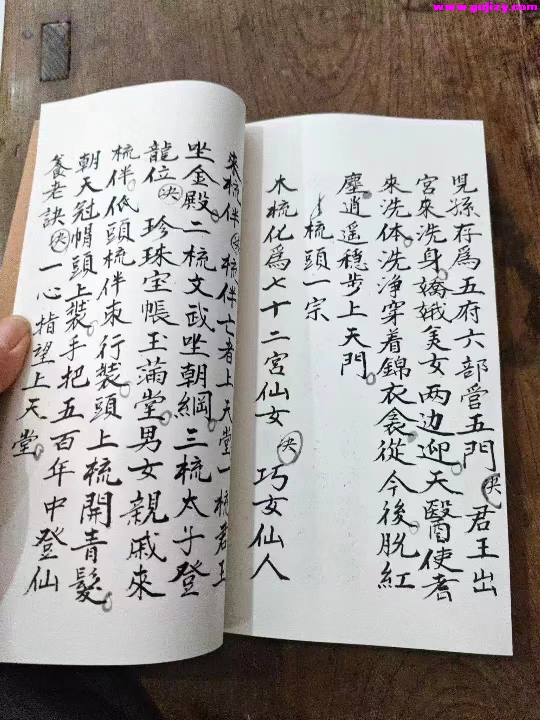 1723395300738.jpg