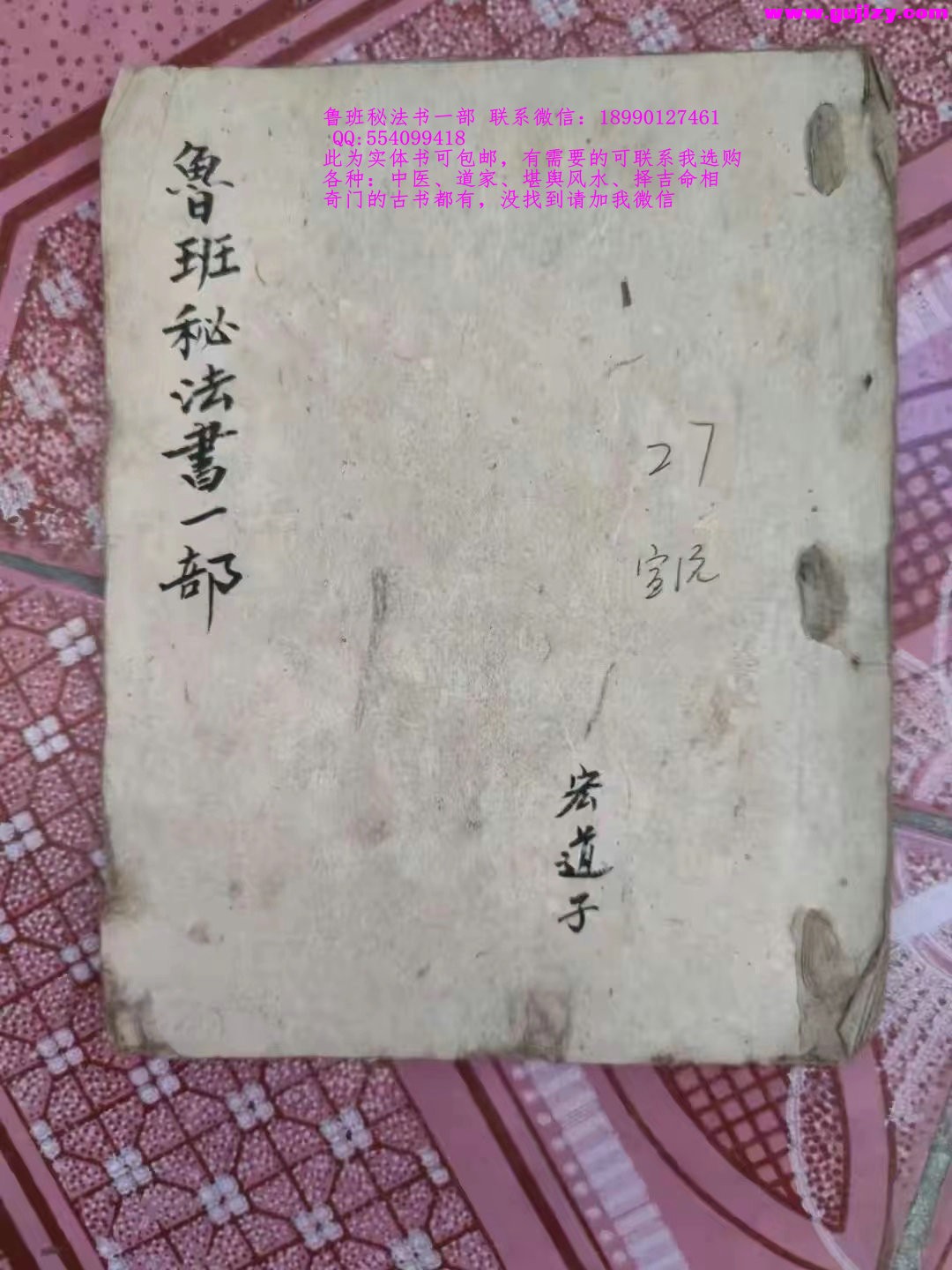 1725381163492.jpg