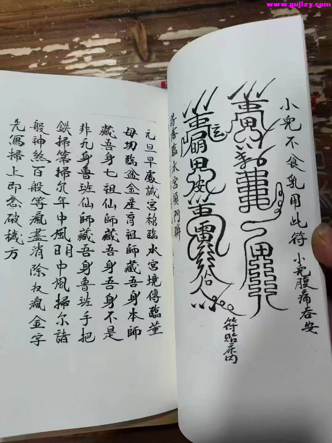 1737537433909.jpg
