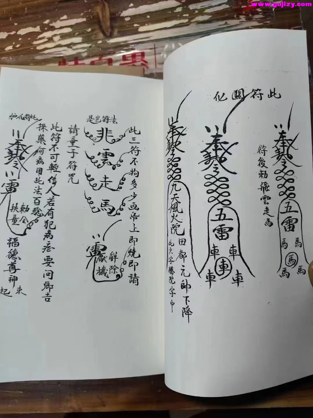 1737537450339.jpg