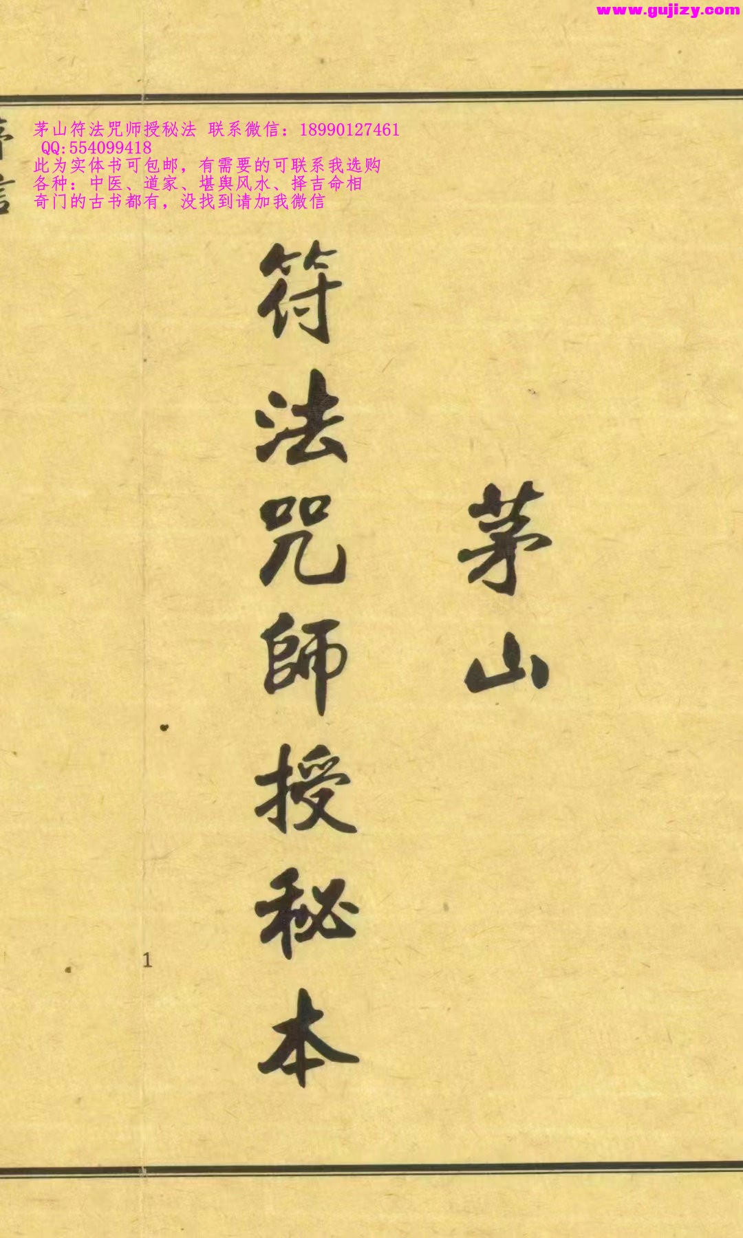 1725297616272.jpg