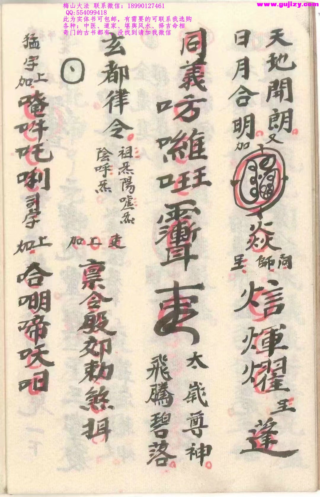 1725298413766.jpg