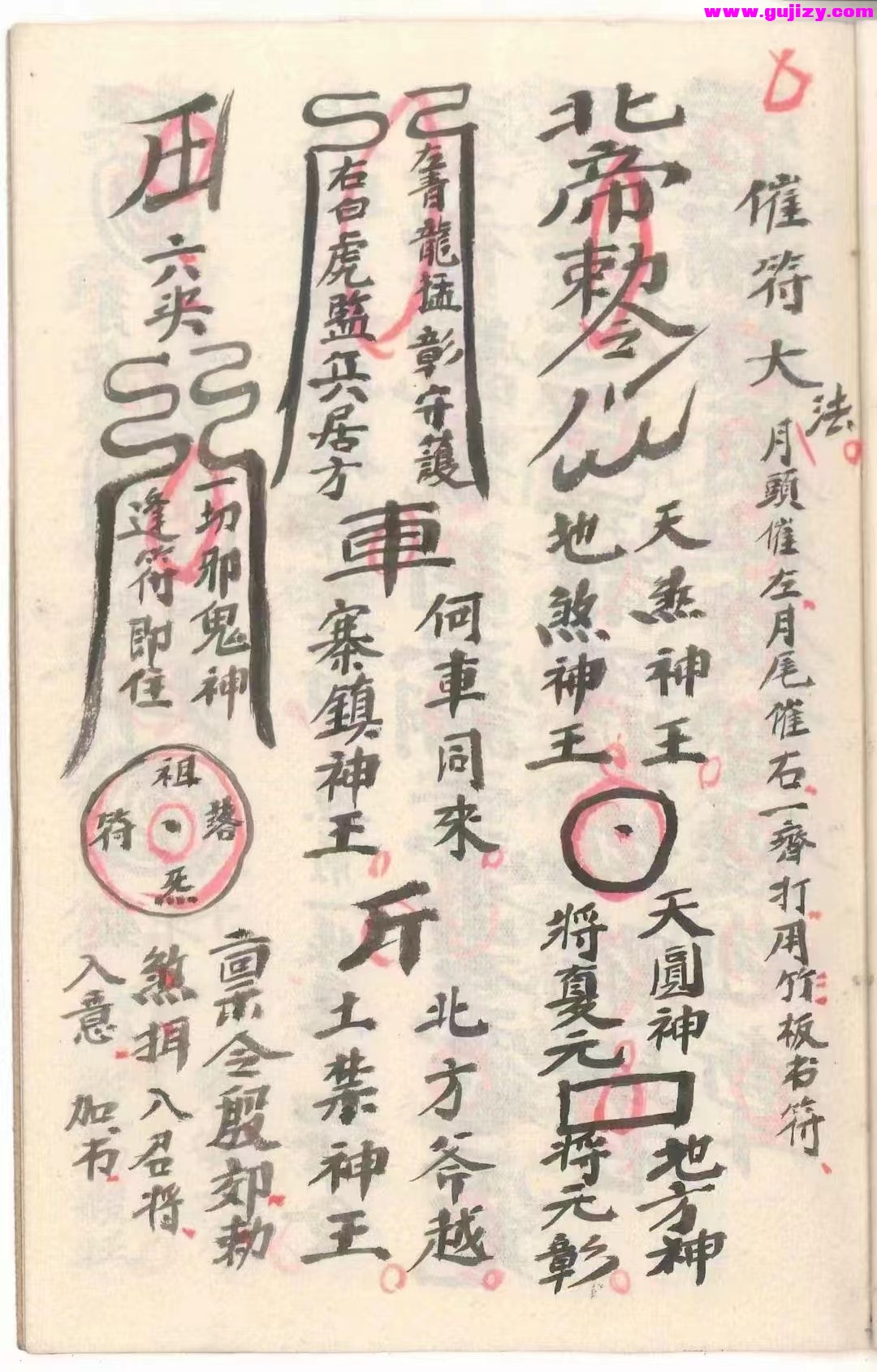 1725298423244.jpg