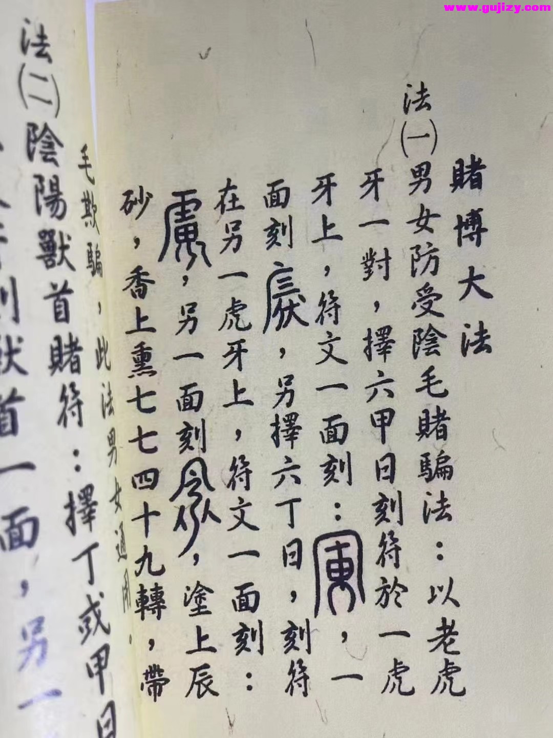 1722151656113.jpg