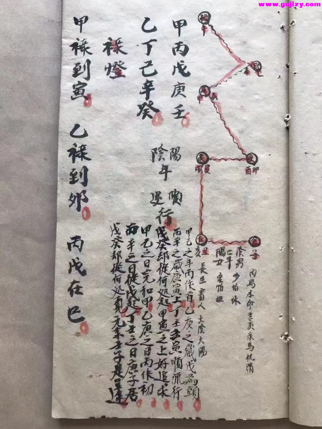 1737381134487.jpg