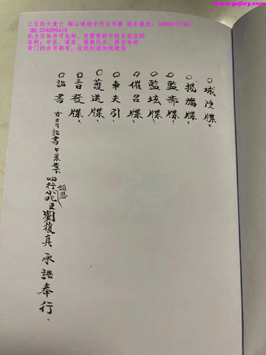 1725340383642.jpg
