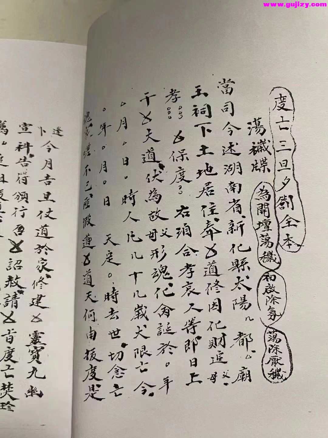 1725340389497.jpg