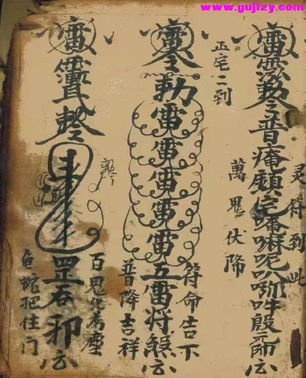 1738381892257.jpg