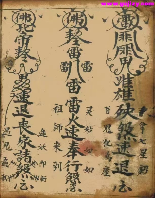1738381898954.jpg