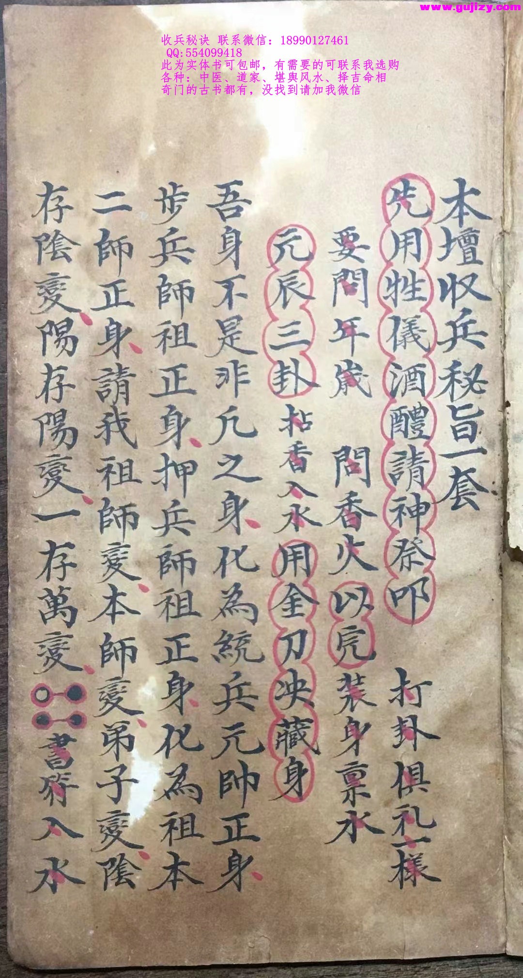 1723911086832.jpg