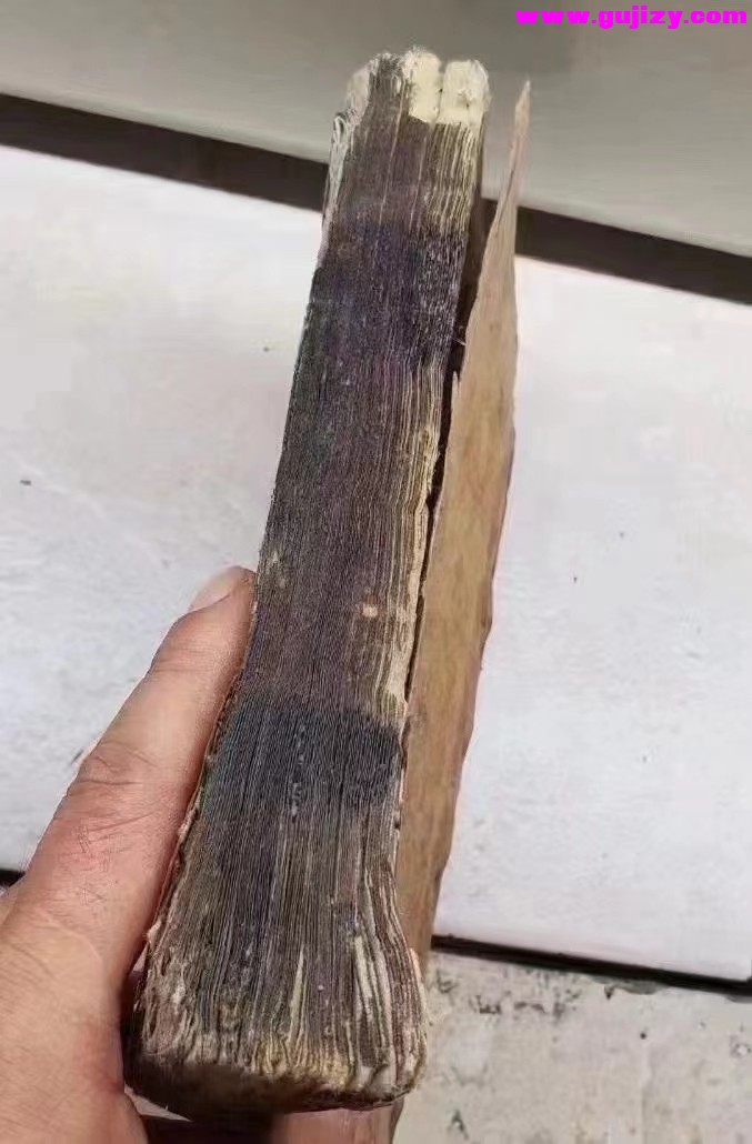 1722091712691.jpg