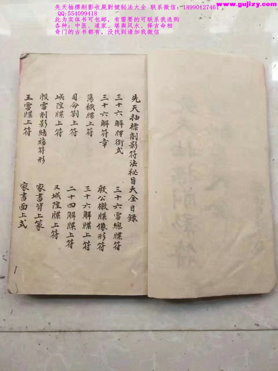 1725377753479.jpg