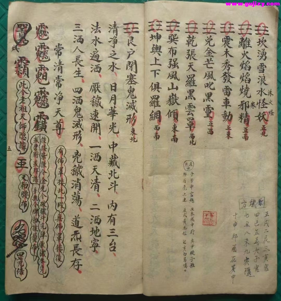 1737380010311.jpg