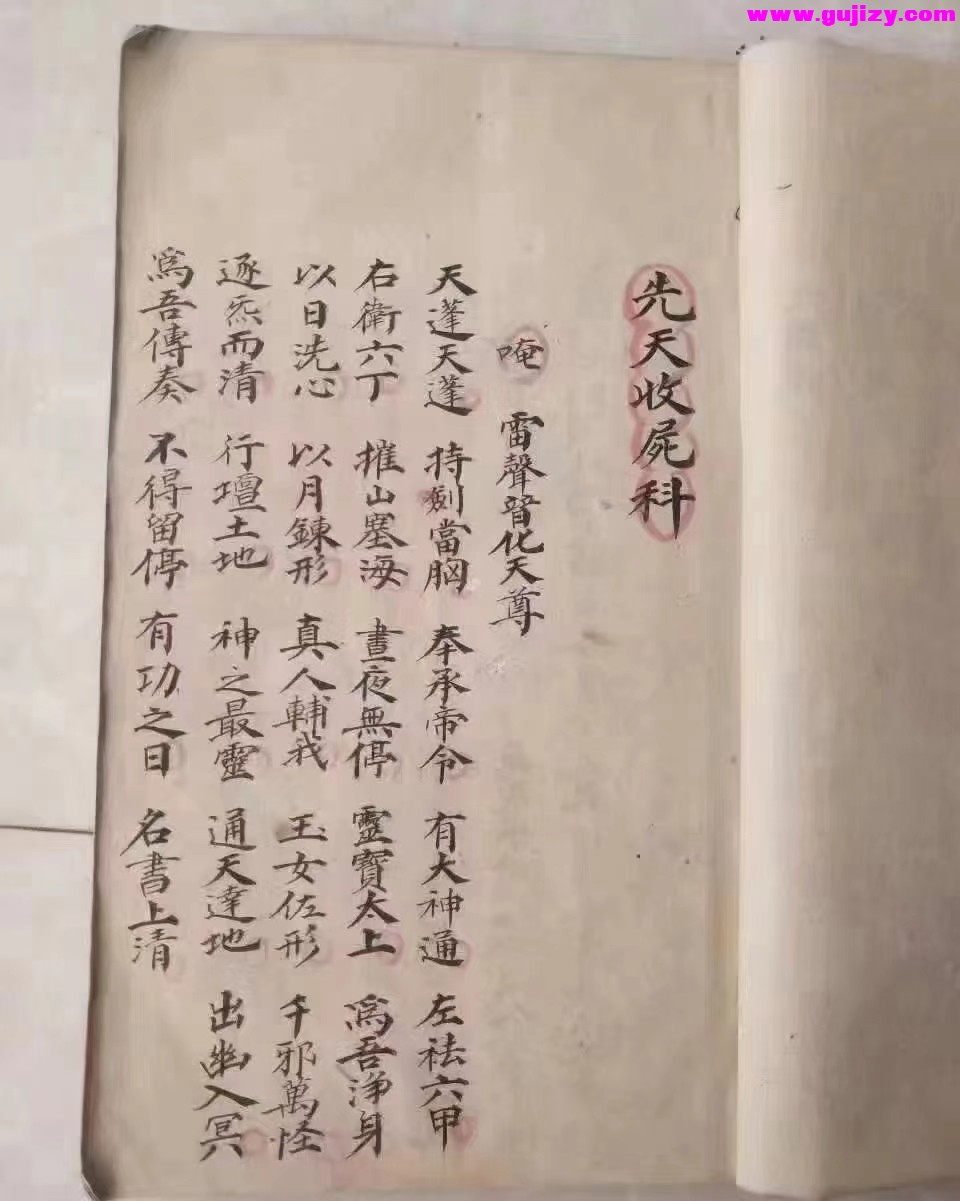 1725340115231.jpg