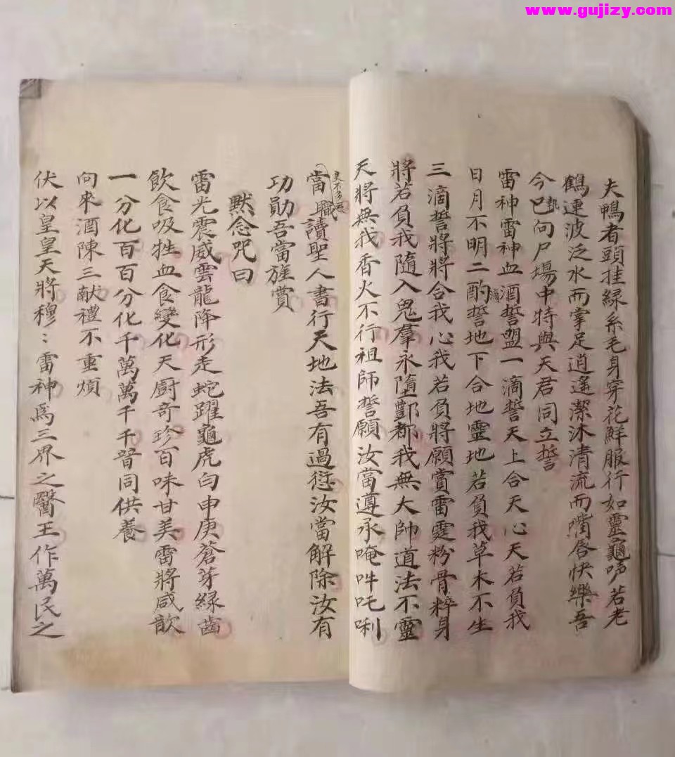 1725340119974.jpg