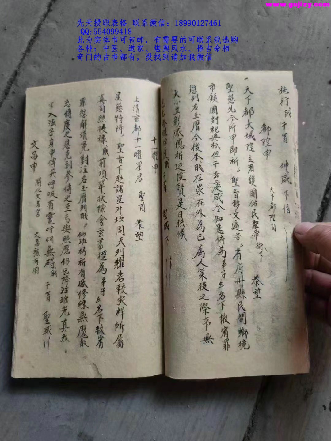 1723050393665.jpg