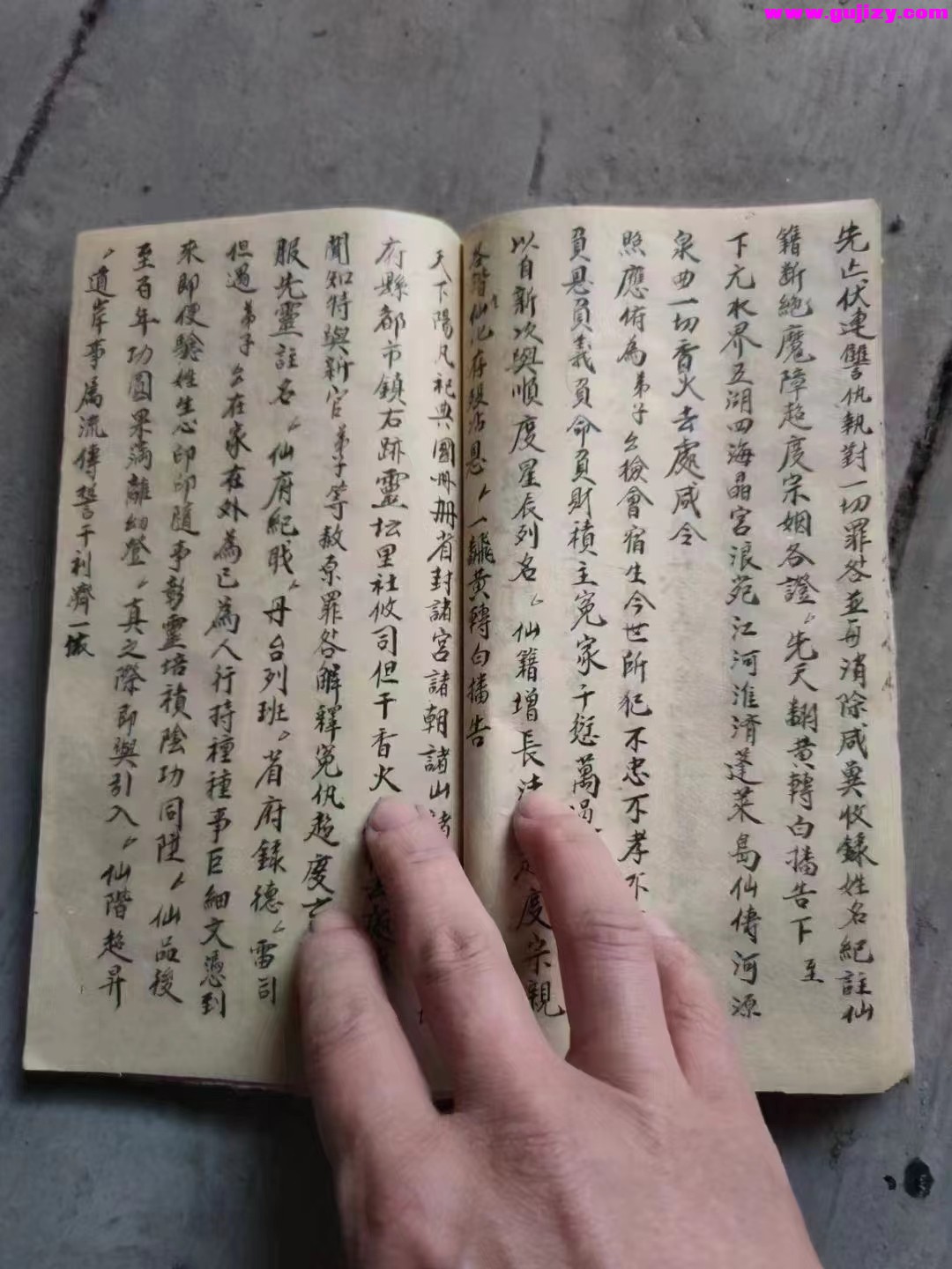 1723050401372.jpg