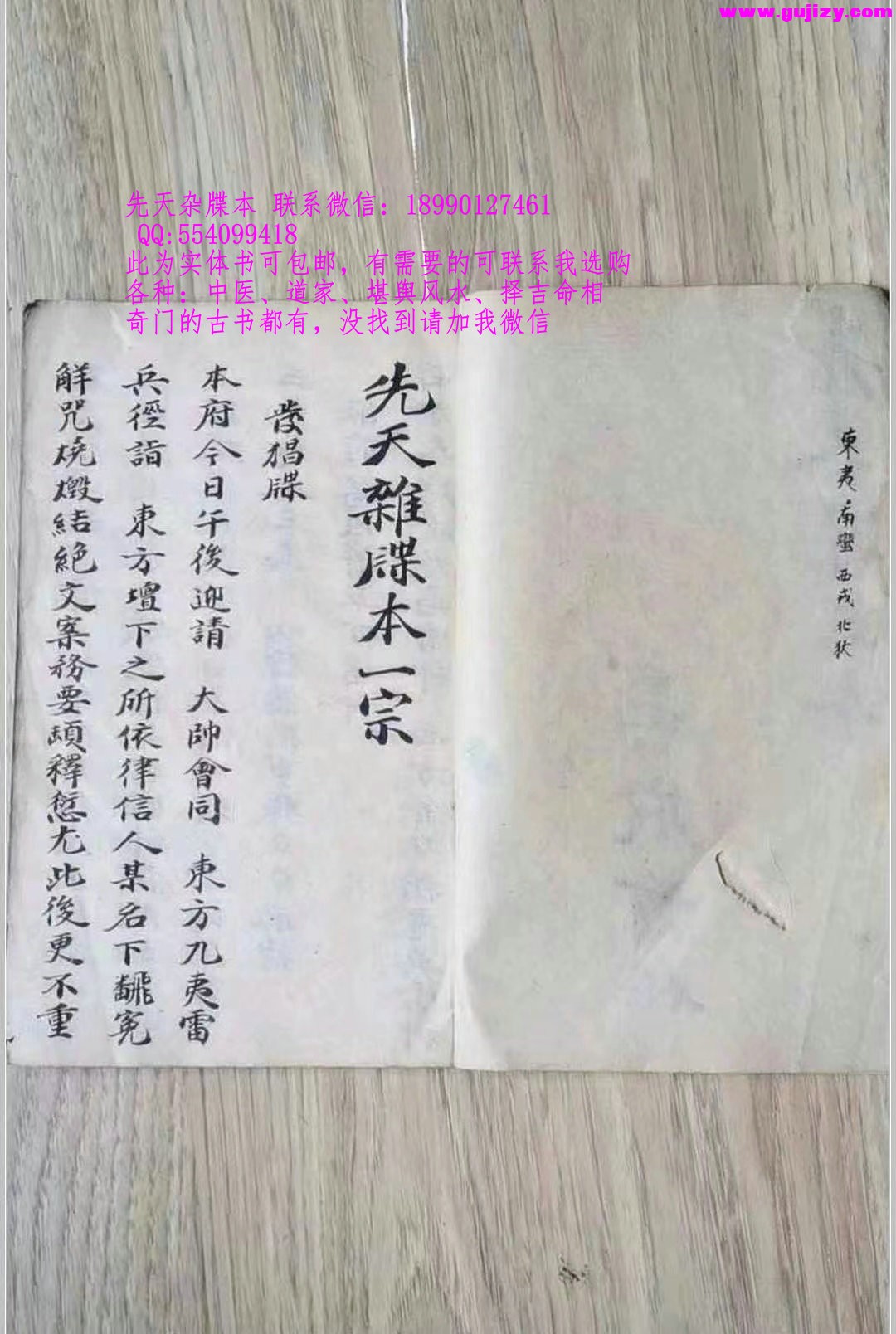 1723172526624.jpg
