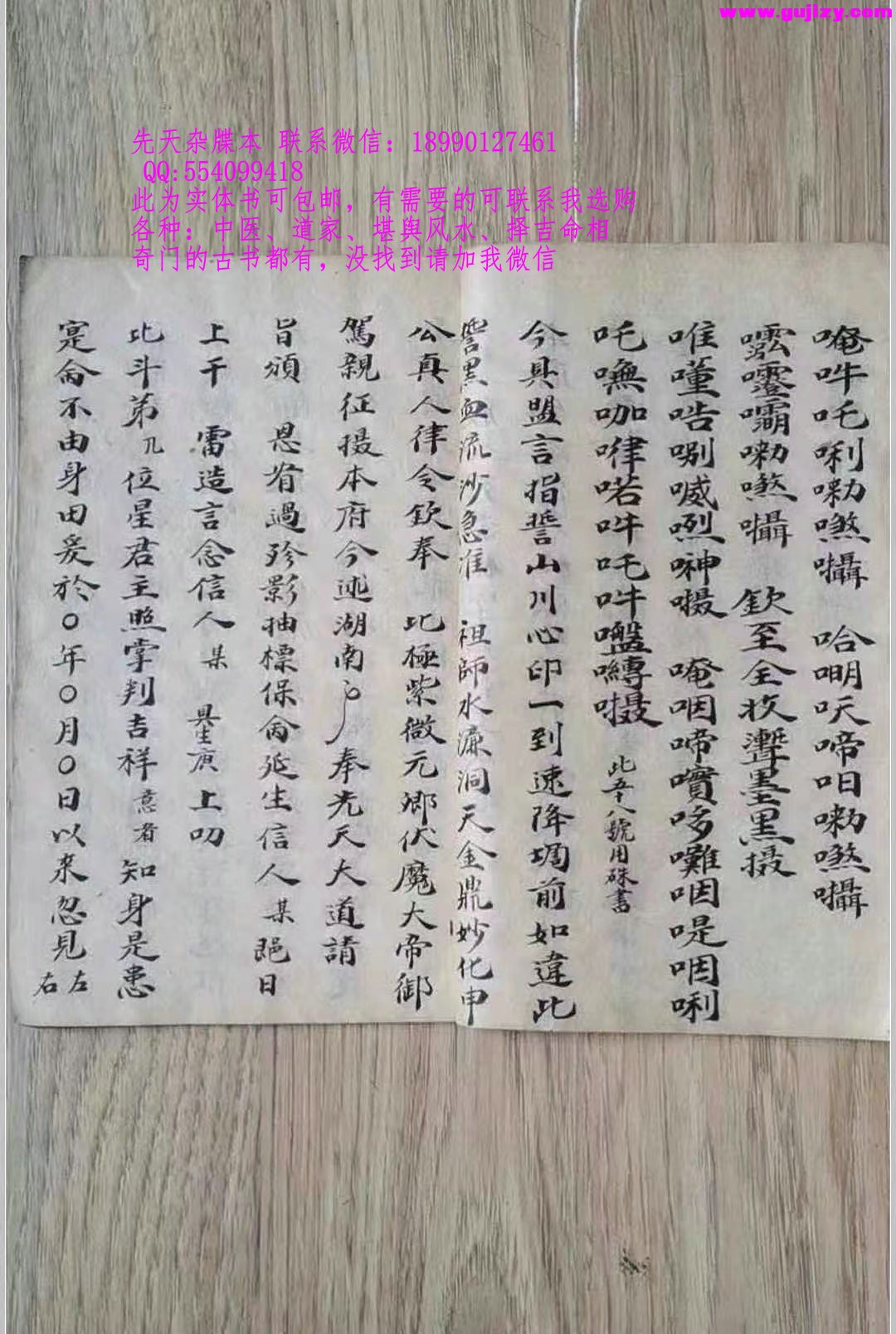 1723172530611.jpg
