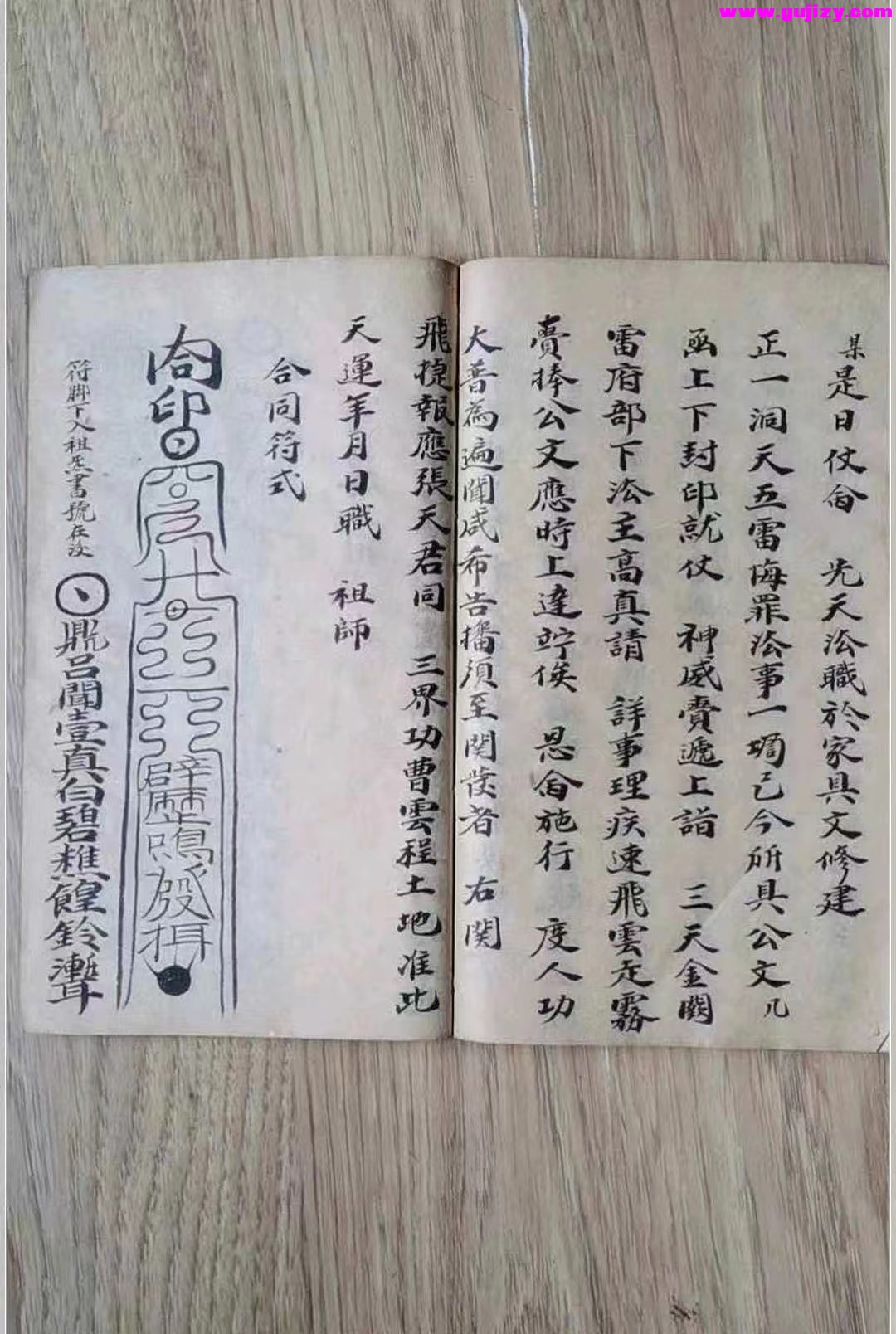 1723172534654.jpg