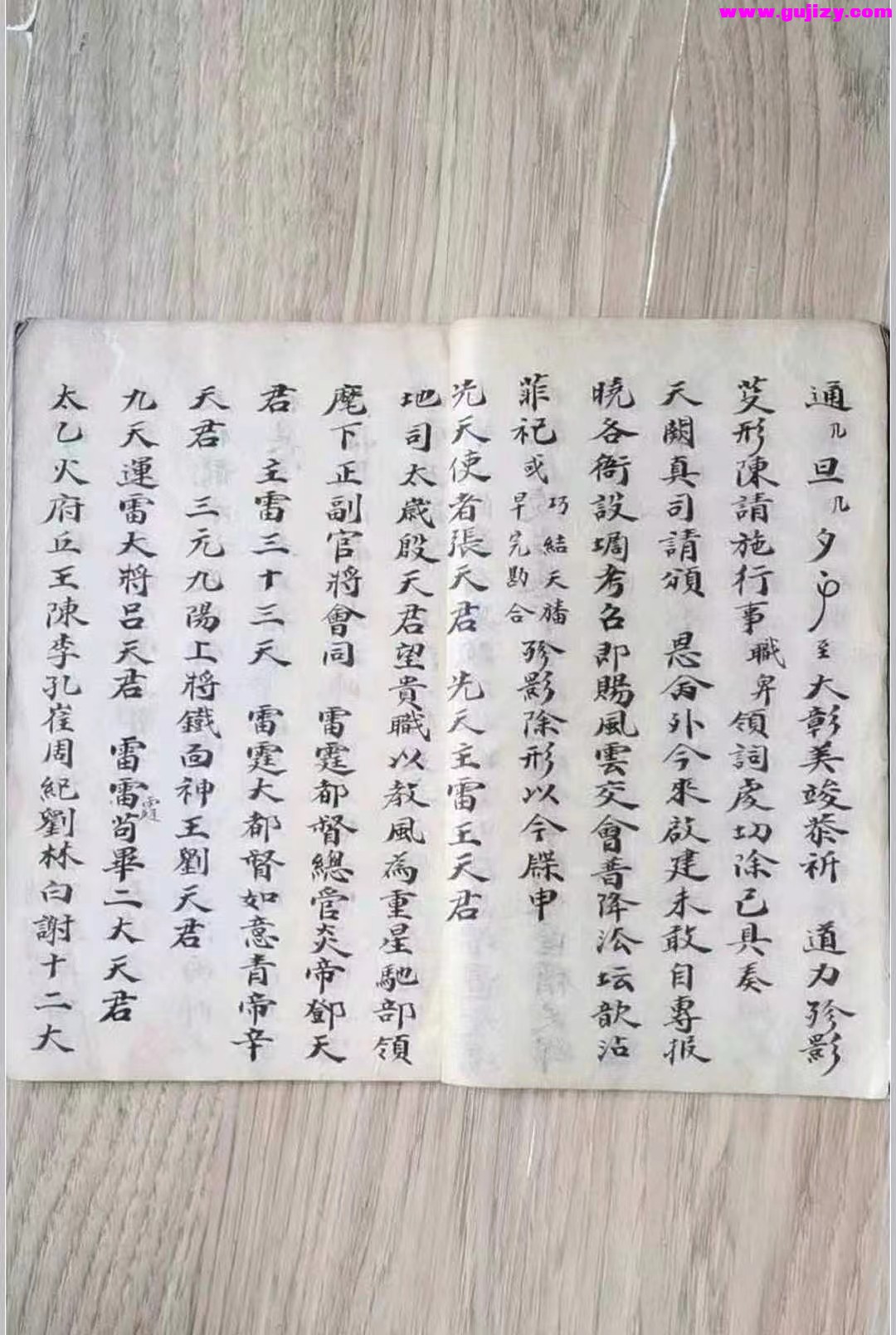 1723172539928.jpg