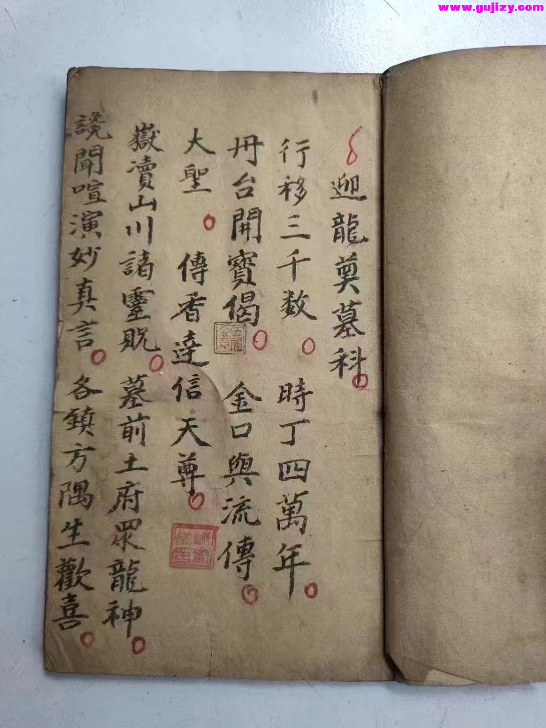 1739429885740.jpg