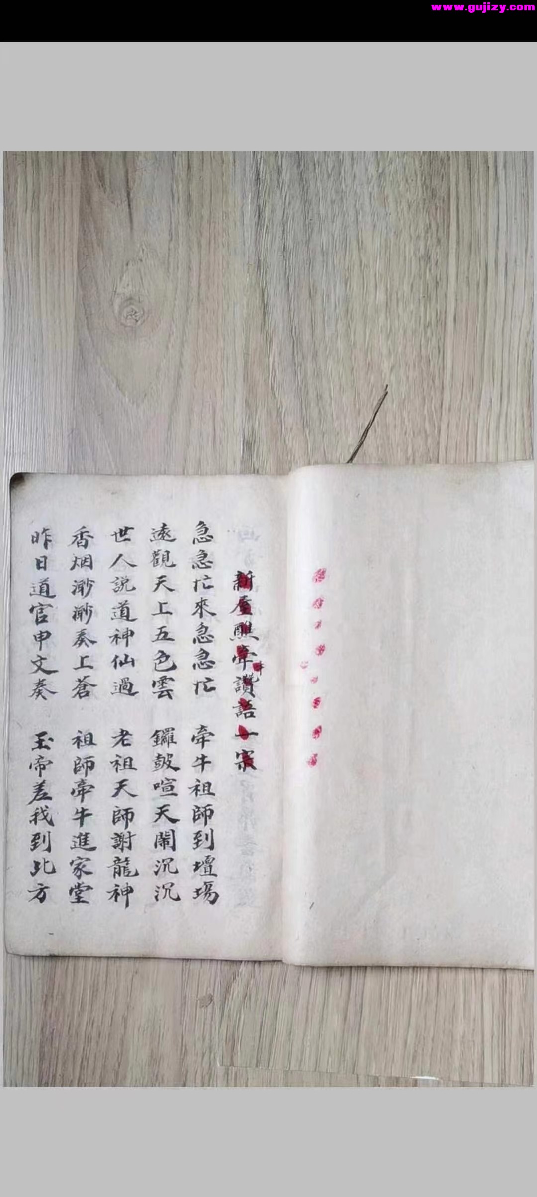1722165806291.jpg