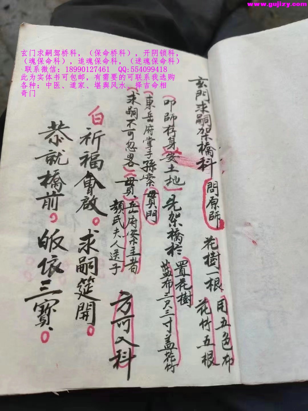 1722150465248.jpg