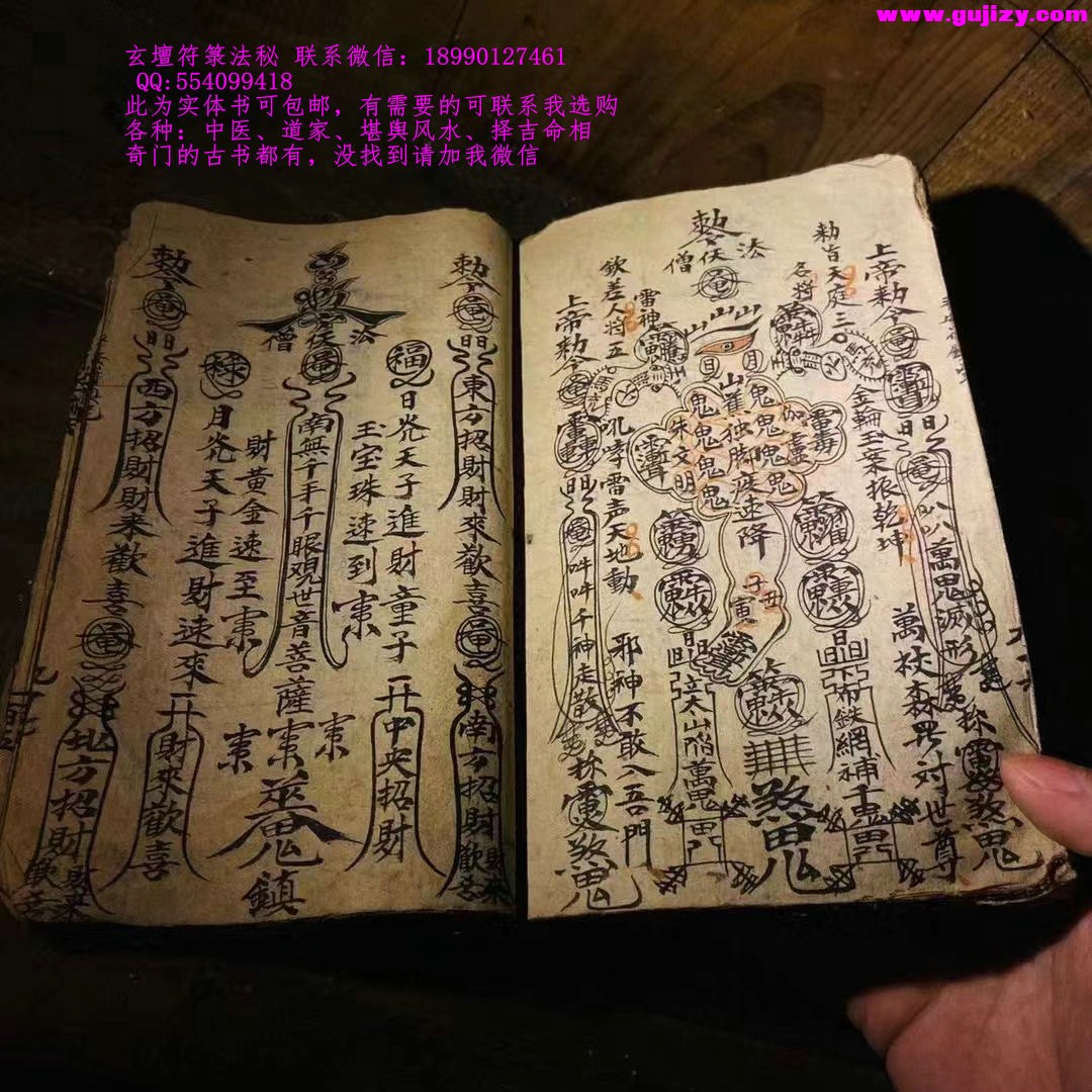 1725296837684.jpg