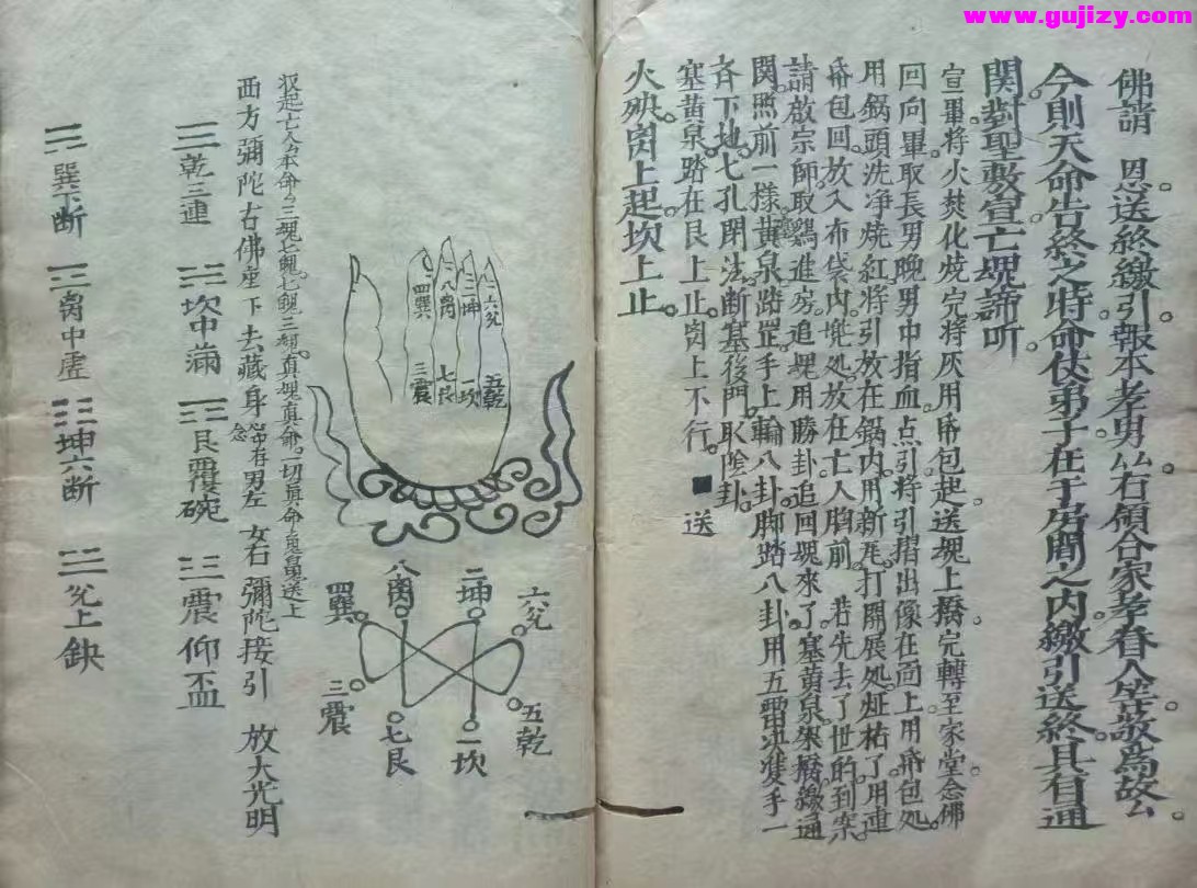 1737384866448.jpg