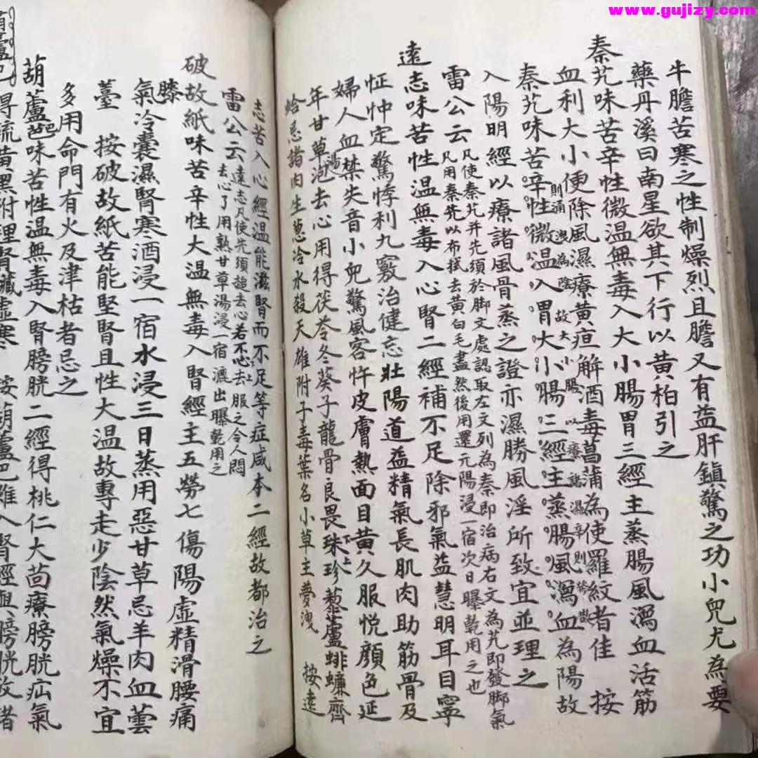 1723051278454.jpg