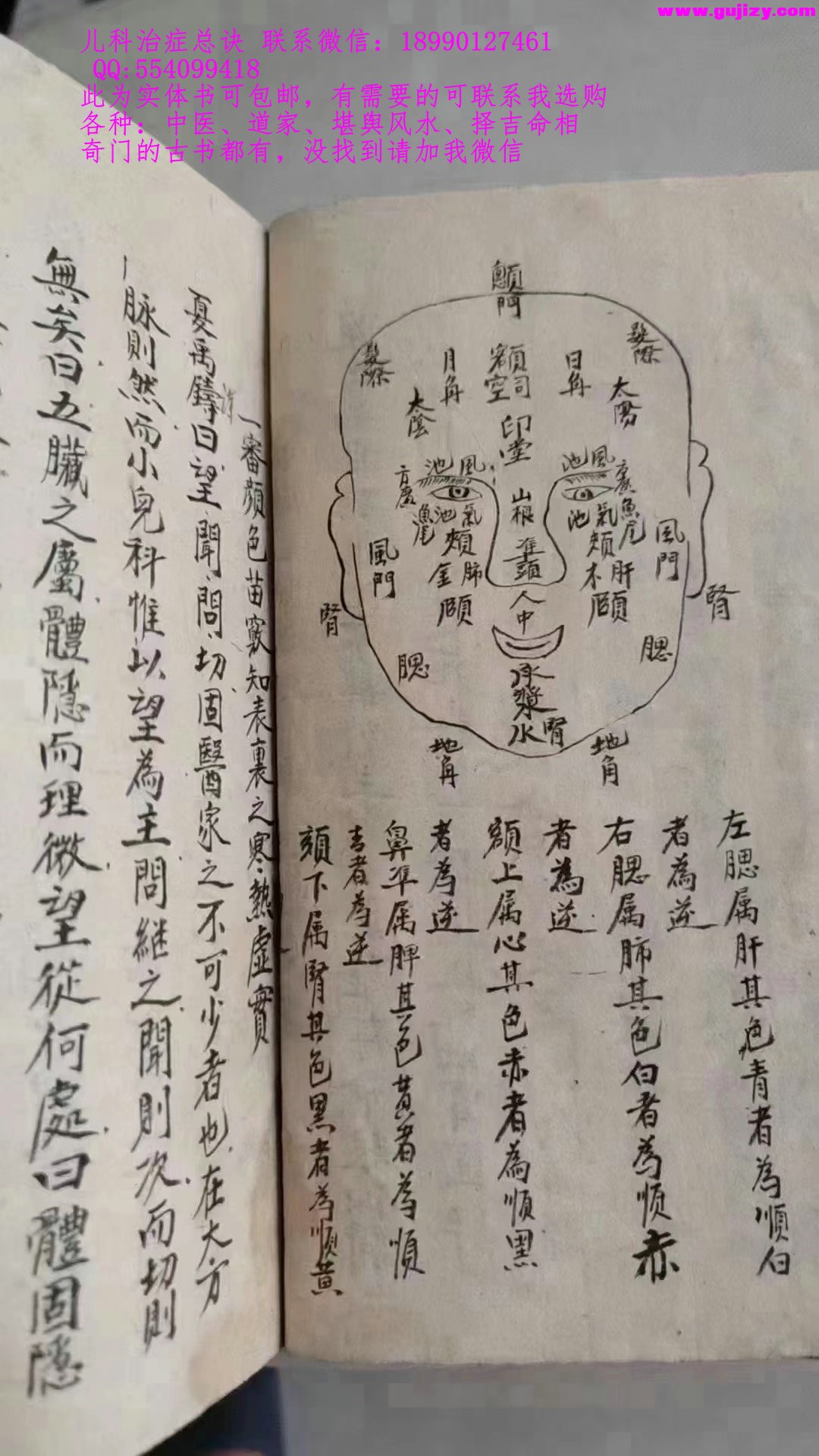 1723648027032.jpg