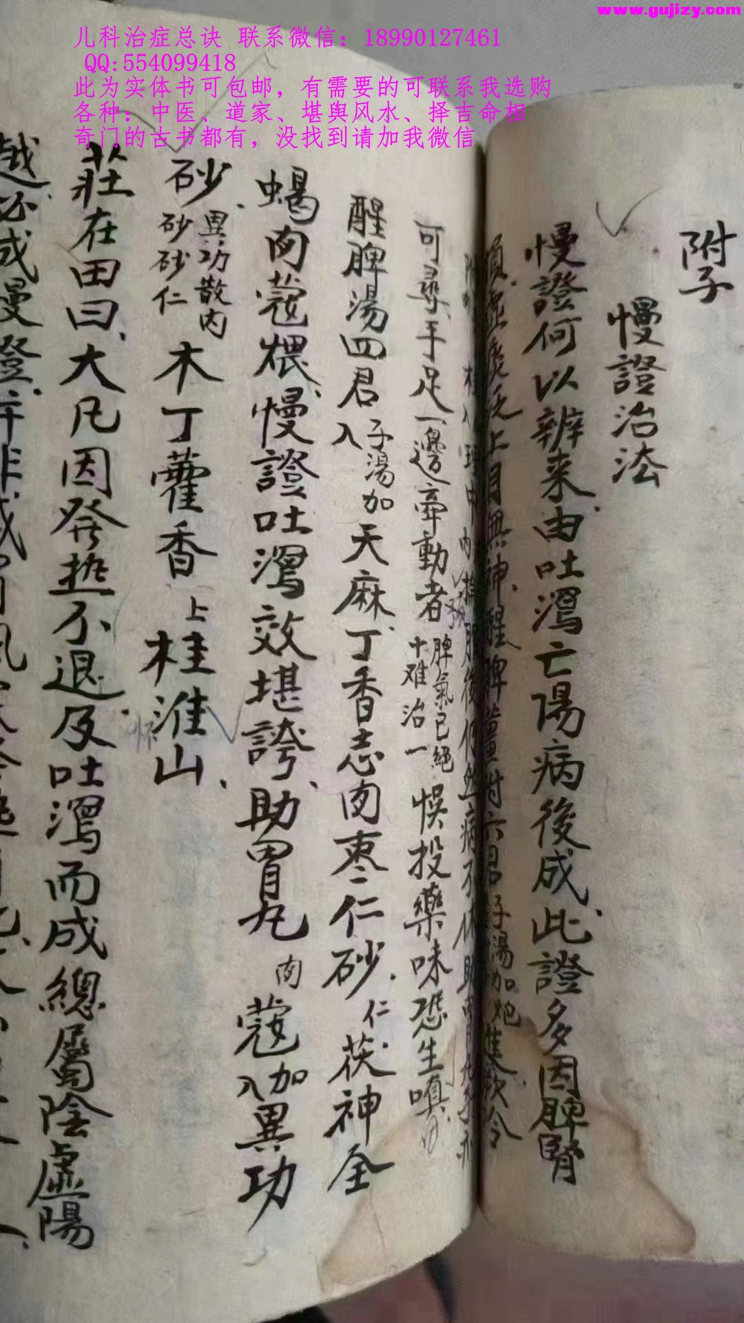 1723648032316.jpg
