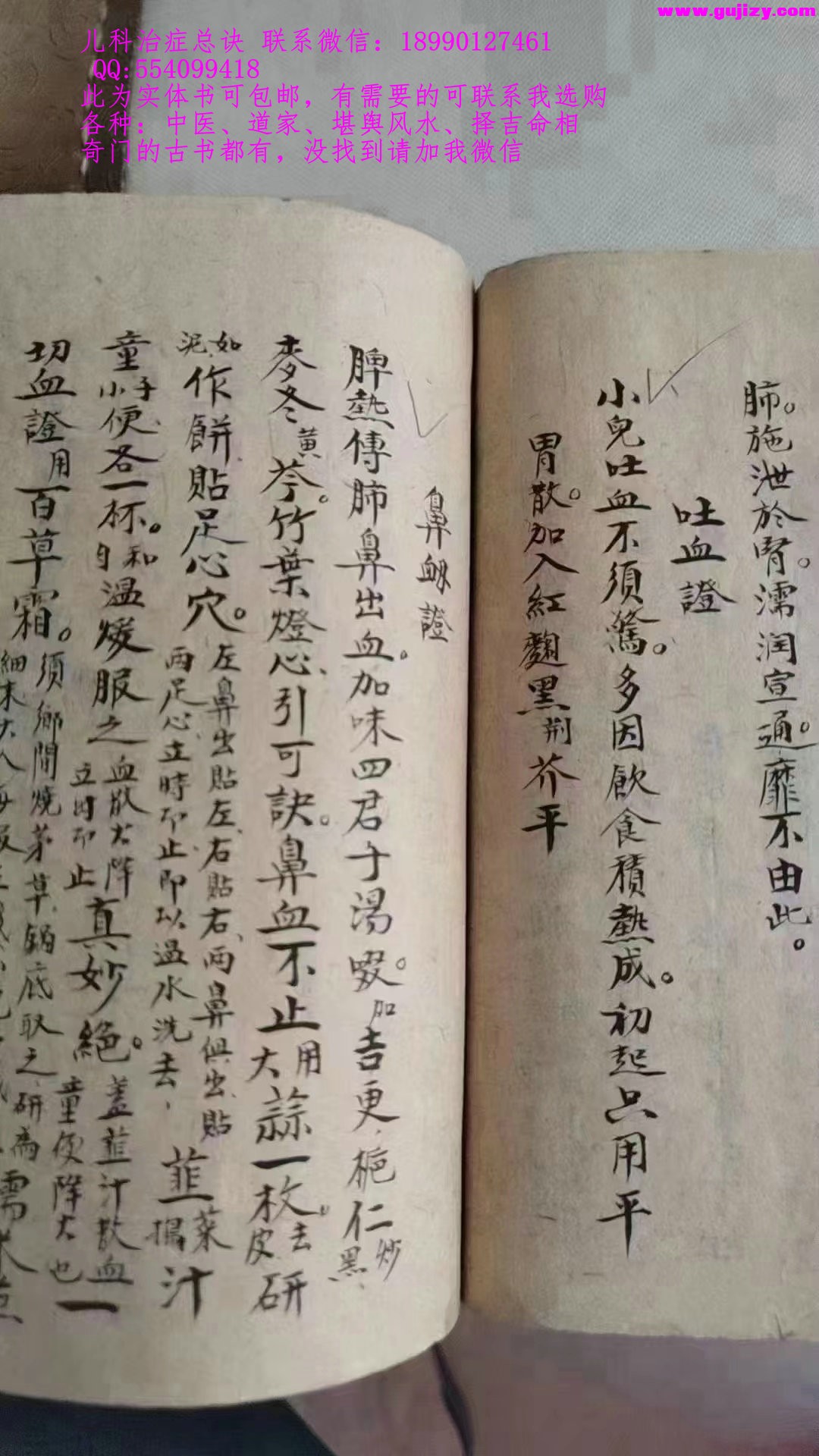 1723648033882.jpg