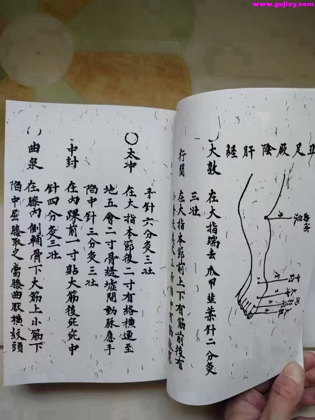1737538001924.jpg