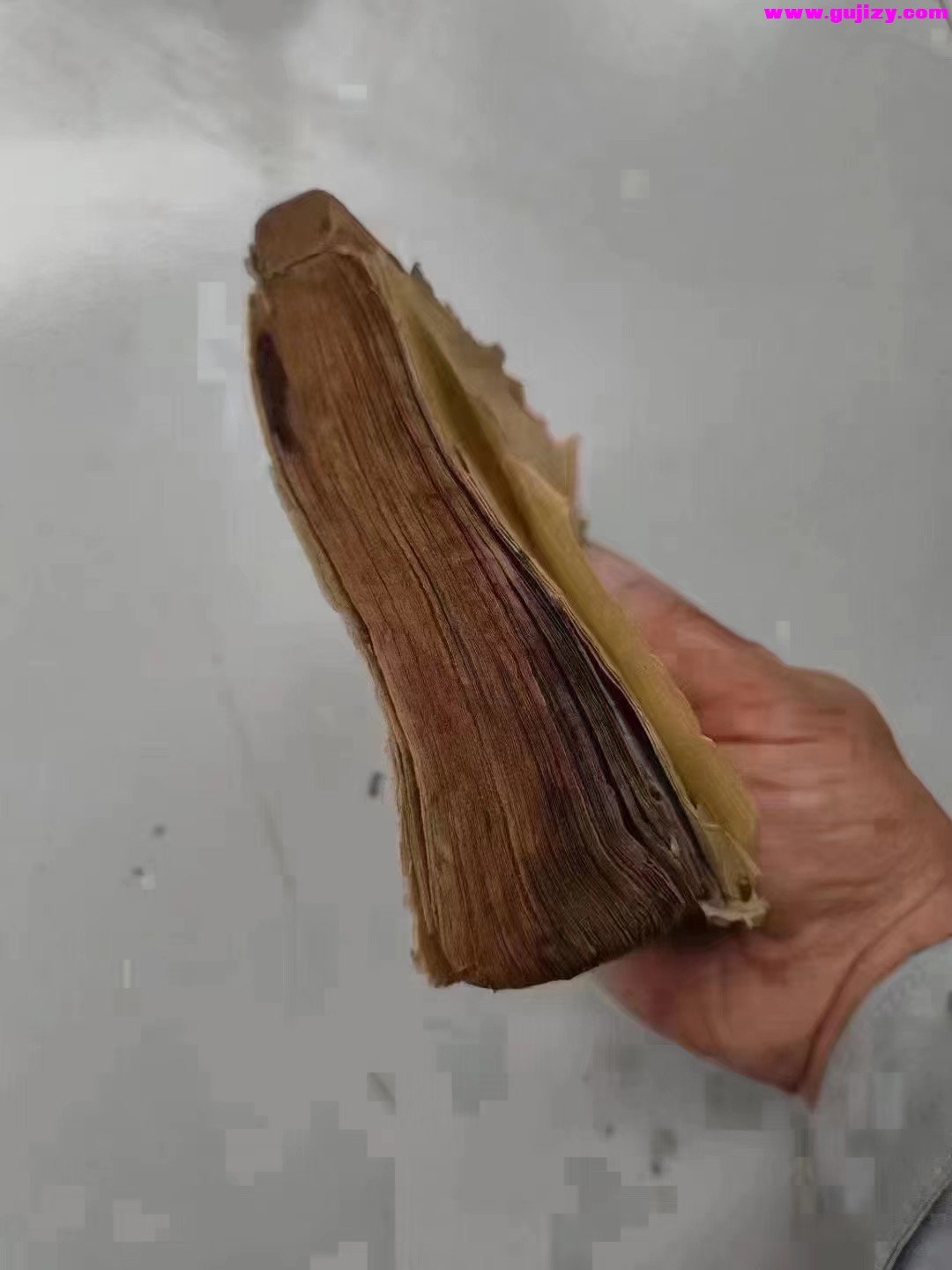 1722267187221.jpg