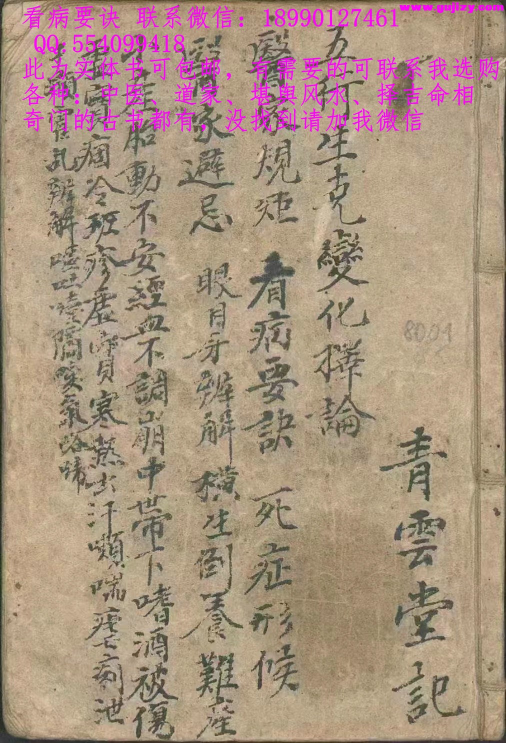 1723173781093.jpg