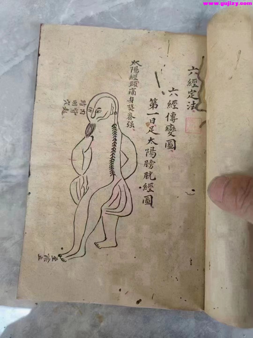 1723910632221.jpg