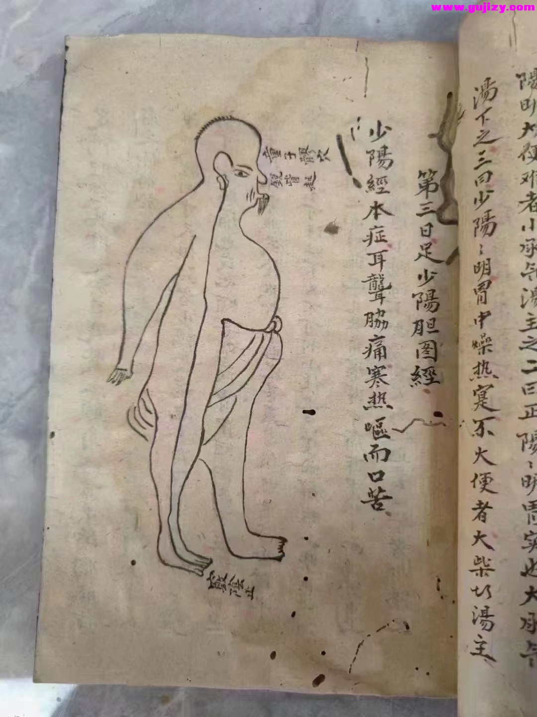 1723910634012.jpg