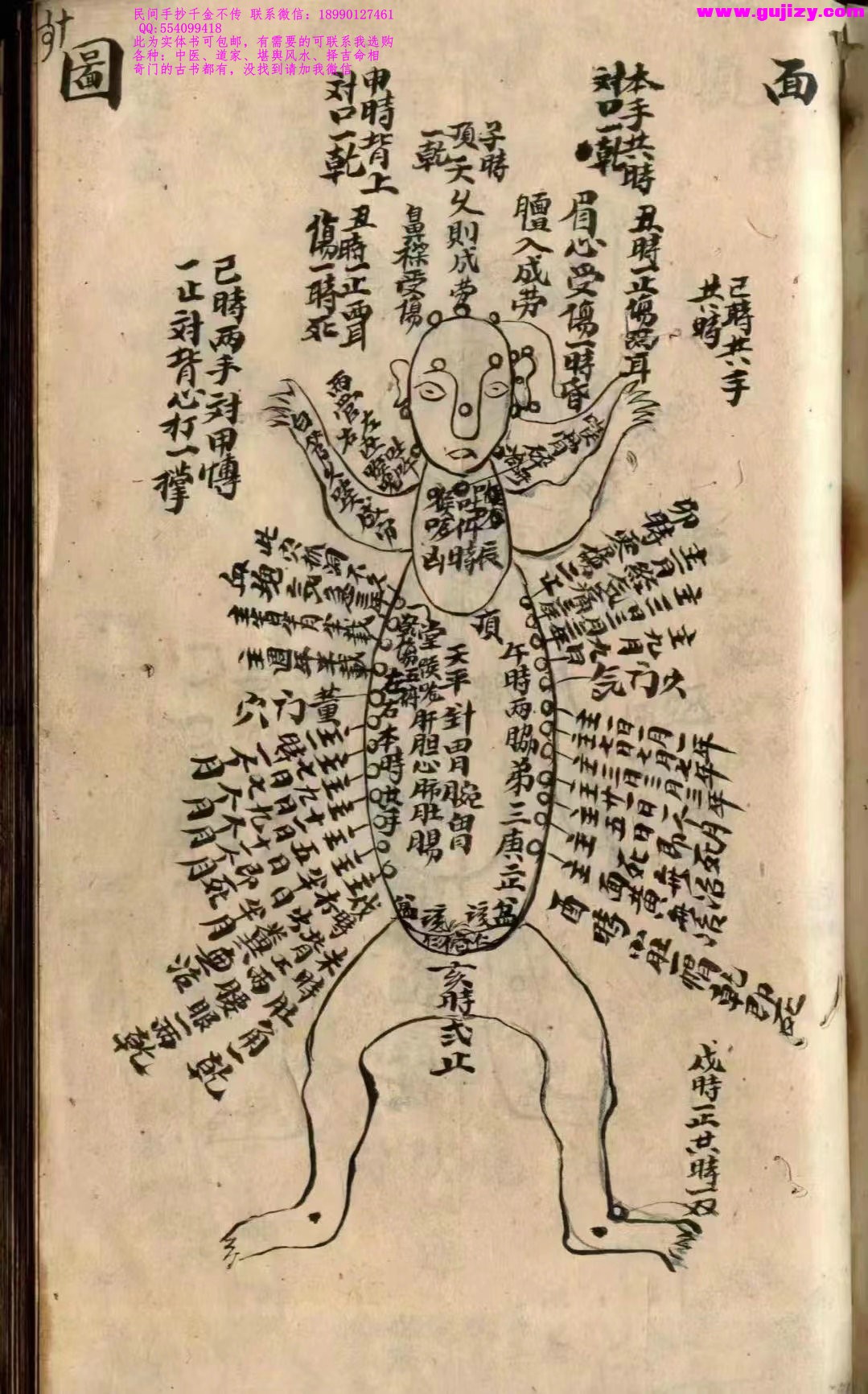 1725381361688.jpg