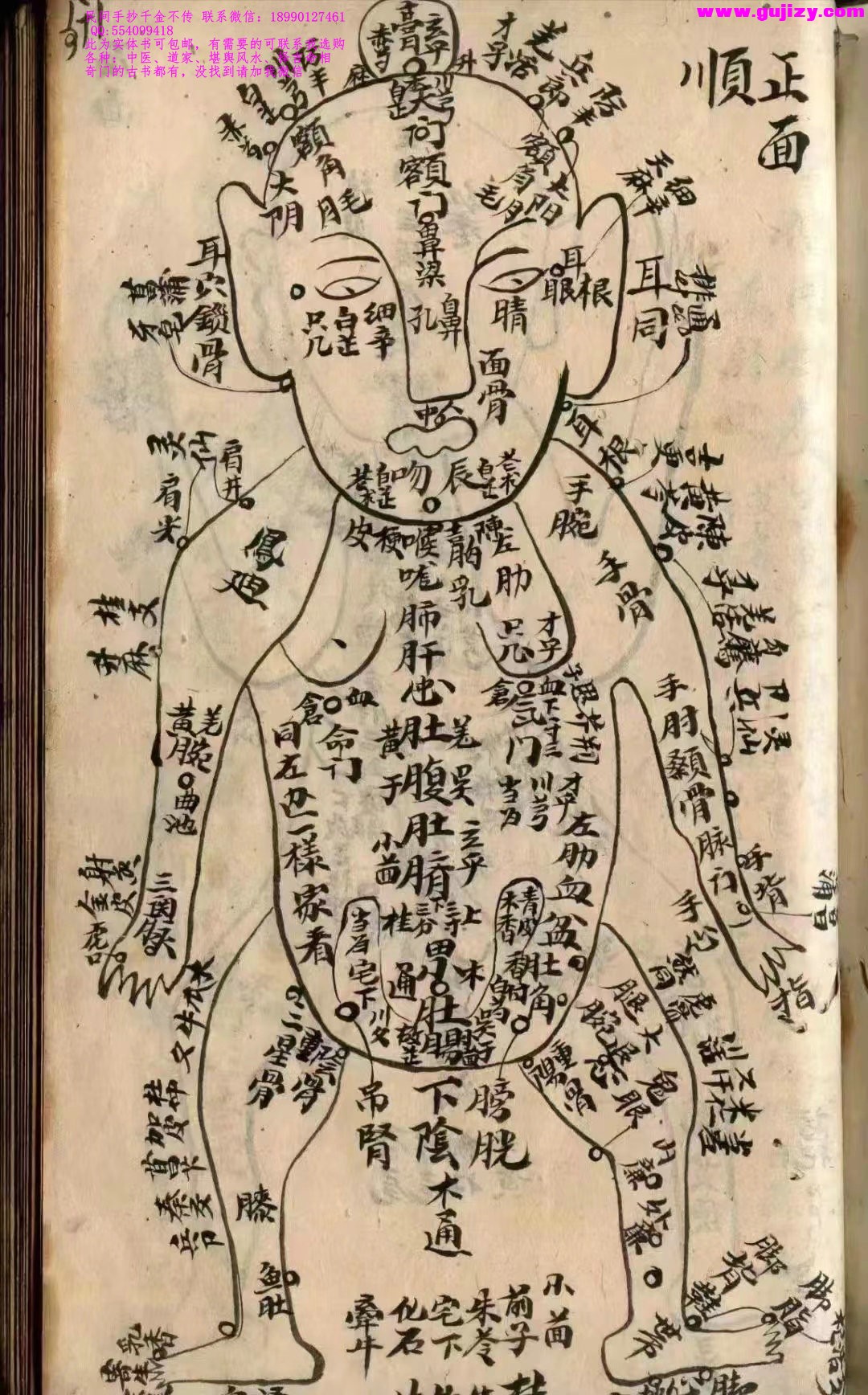 1725381364551.jpg